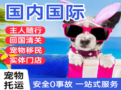 上海虹桥机场邮寄国际宠物托运 【国